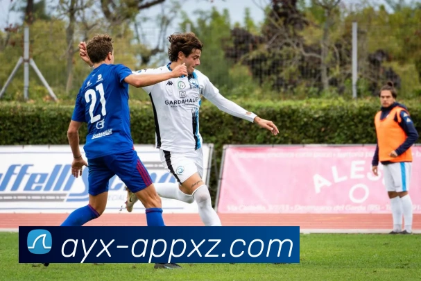 爱游戏APP 封面图