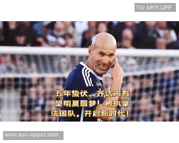 法媒报道齐达内接任法国队主帅需先解决赞助商冲突问题